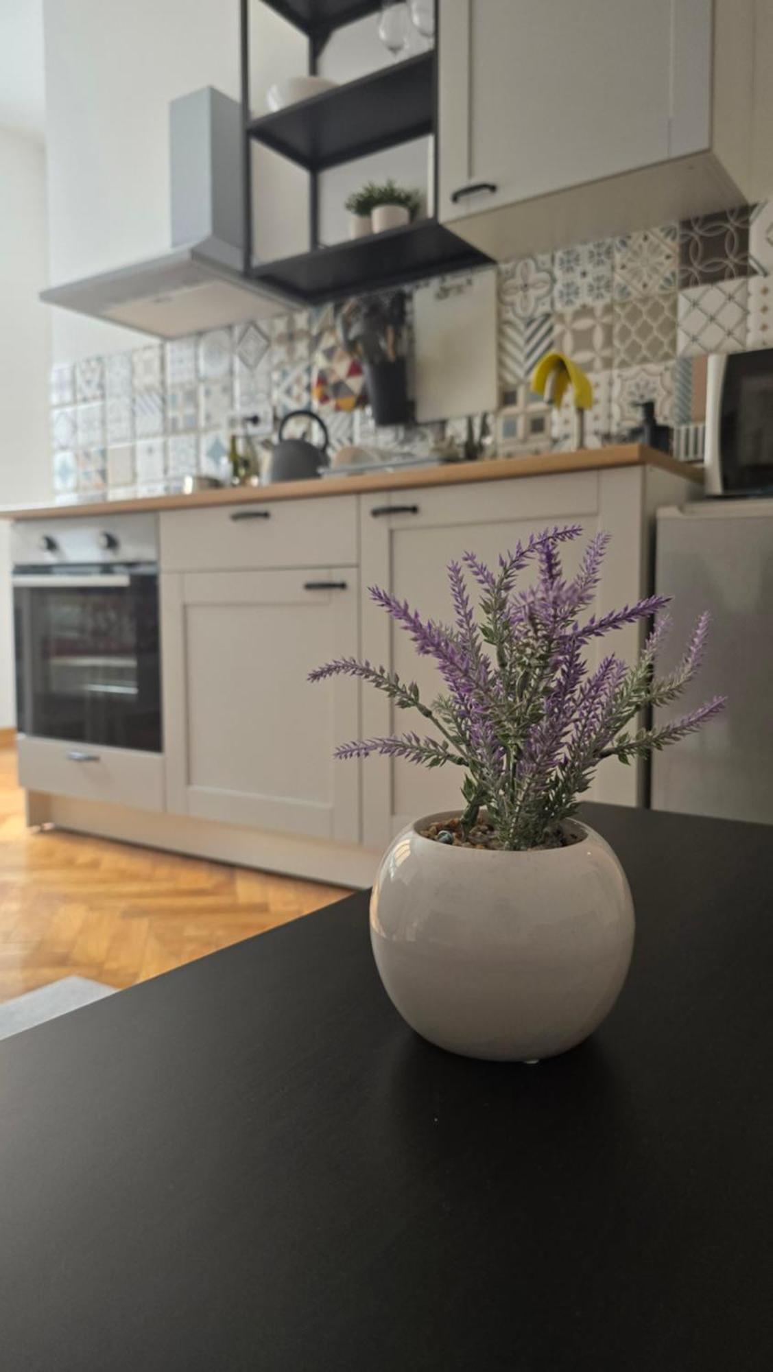 Apartment Major بلغراد المظهر الخارجي الصورة